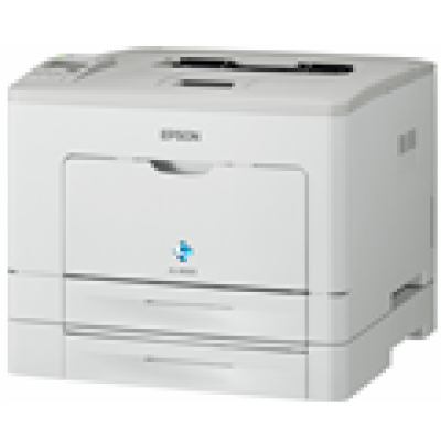 Epson WorkForce AL M300DTN